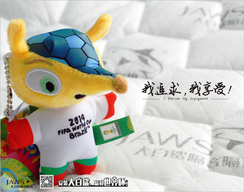 大白鲨世界杯活动